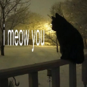 A black cat silhouette sits on a fence in the snow with the text i meow you overlaid.