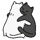 A white cat and a black cat hugging each other affectionately.