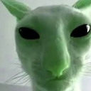 aliencat custom emote | #VTuberTH/ToBreakTheLoop