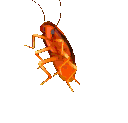 cockroach animated GIF emoji | 🌴 ✨   U T O P I A   ✨ 🌴