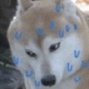 ahh custom emote | Blackcat