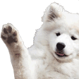 Wave animated Discord emote | Jewish Community