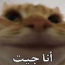 emoji_9 custom emote from YL
