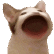 3x78 animated Discord emote - It's - Hoppy Room 💐🌷