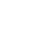 half_star Discord Emoji from RURP | Realistic Union RP 🇺🇸
