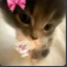 Screenshot20260413205130 Discord sticker from Vandox_YT