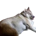 FatterHusky Discord sticker - Homestuck Community