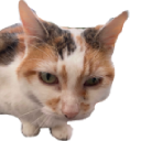 brenda3 custom emote from Nocturnal 18