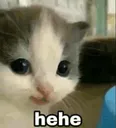 hehe custom emote from Tathastu