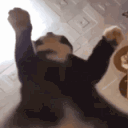 interian_ggw6 animated GIF emoji - • ꒰ Sᴛᴀʀ Fᴀᴍɪʟʏ Zᴏɴᴇ ꒱ •