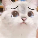sadcat Discord sticker - ATGs (All The Gamers)