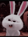 A fluffy white rabbit with long ears making an angry, shouting facial expression.