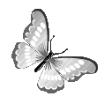 butter animated Discord emote from 𝗭𝘆𝗻𝗮𝗿𝗮𝗫'𝘀 𝗛𝗮𝗻𝗴𝗼𝘂𝘁