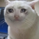 emoji_17 custom emote | ⧖ ✮ 𝒁𝒀𝑹𝑶𝑵・𝑴𝑪 ✮ ⧖