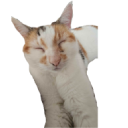 brenda2 Discord sticker from Nocturnal 18