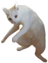 catstance custom emote from Adultcord│Social & Gaming