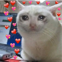 crying_love_cat Discord Emoji from Dead Sheeps