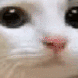 no_anime5 animated Discord emote | We R:ONE | Re:Envision Network