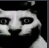 huh Discord Emoji - KXH SV