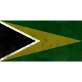 Flag with a black triangle, gold chevron, and green background.