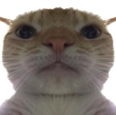 catcot1 Discord Emoji from Autism Mansion