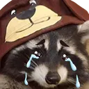 raccoon_cry Discord Emoji from Sachsen Treff | .gg/Sachsen