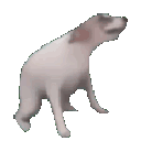 meme_animateddogdance animated Discord emote from the gaang