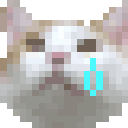 CatCry animated GIF emoji - DM Request 📪 ⌇ Ask To DM & Chatting ⌇ Non Dating ⌇ Social ⌇ Friendly ⌇ Nitro ⌇Non Toxic
