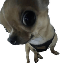 DogAyo Discord sticker | ShimadaX