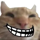 trollcat custom emote from UFOlogy
