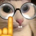 gatonerd Discord Emoji - Roblox LatinoAmerica⭐