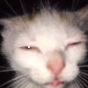 emoji_11_1486250025339195463 Discord Emoji - MLN community 200? 🏰