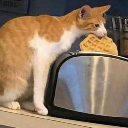 cat_eating custom emote | Crow AI #Renaissance
