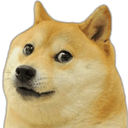 funnydog custom emote | Hejteri CODM