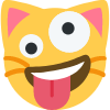 cat custom emote from Messi Official