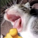 emoji_13 custom emote | 𝖲𝗄𝗒𝖻𝗈𝗋𝗇 𝖫𝗈𝗎𝗇𝗀𝖾 ᡣ𐭩
