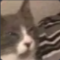 Screenshot20260413211306 Discord sticker | Vandox_YT