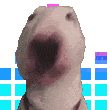 WalterJam animated Discord emote | DM Request ¹⁸⁺  📪 ⌇ Adult Only  ⌇ sᴘʀᴇᴀᴅ Love ⌇  Non Toxic  ⌇Connection  ⌇ 𝓷𝓸𝓷  Dating