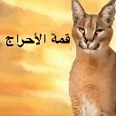 emoji_32 Discord Emoji from كبار الشريطيه | H 1
