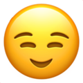 Malicious_Intent Discord Emoji - BDRP I Border Roleplay