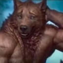 Muscular werewolf scratching its head with a confused and bewildered facial expression.