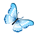 BlueButterfly animated GIF emoji - 🌹PlayGSL❤