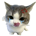 emoji_13 Discord sticker from ✧･ﾟ: ✧ 𝑺𝒕𝒂𝒓𝑬𝒏𝒕𝒆𝒓𝒏𝒂𝒍 ✧ :･ﾟ✧