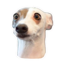 dog custom emote | Chi on air