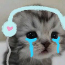 cry_cat custom emote from ♡ Dhadkan || Chill・Social・Dating・Hindi・Fun・Active・VC