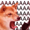 A Shiba Inu dog with its mouth wide open in a screaming expression with the letter A repeated in the background.