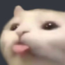 cattongue custom emote - #VTuberTH/ToBreakTheLoop