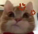 ermm Discord sticker | The Litter Box
