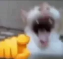 WAJAJA custom emote | bitchass server