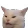 14WutCat Discord Emoji - ★ Asteri ★